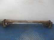 Achse hinten Fiat Ducato Kasten (250)