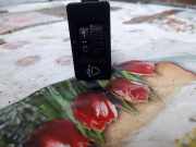 Schalter für Leuchtweitenregelung Citroen C4 I (LC)