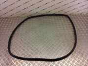 Türgummi rechts vorne Ford EcoSport () 7396553