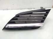 Vorderer oberer Gitter NISSAN PRIMERA (P12) 1.9 dCi 62330AU300