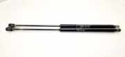 Heckklappe Gasdruckfeder rechts FIAT BRAVO II (198_) 1.6 D Multijet 51912267