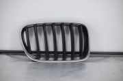 Vorderer oberer Gitter BMW X3 (F25) sDrive 18 d 7210726