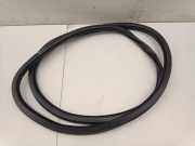 Türdichtung Audi A6 (4A, C4)