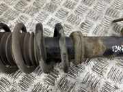 Stoßdämpfer links hinten Porsche 911 (996)