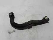 Schlauch für Luftversorgung Renault Trafic III Kasten (FG) 144606126R