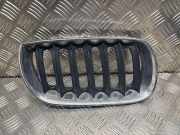 Kühlergrill komplett BMW X3 (E83) 3402910