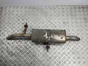 Auspuffanlage hinten Citroen DS4 (NX)