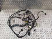 Motor Kabelbaum VW ID.4 (E21) PRO TAB016490