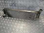 Ladeluftkühler Renault Grand Scenic II (JM) 8200115540