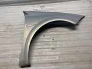 Kotflügel vorne rechts RENAULT MEGANE II (BM0/1_, CM0/1_) 1.9 dCi (BM0G, CM0G)