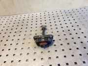 Türanschlag vorne links