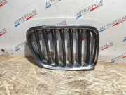 Vorderer oberer Gitter BMW X1 (E84) sDrive 18 d 2993306 2993308