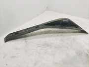 Innenschwellenzierleiste hinten links