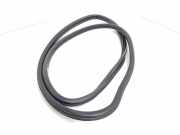 Türdichtung BMW 1er (E81) 7066618