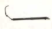 Heckklappe Gasdruckfeder rechts TOYOTA RAV 4 V (XA50) AWD Hybrid LE+ 2.5 68910-42060