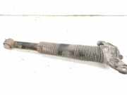 Stoßdämpfer hinten links LAND ROVER DISCOVERY SPORT (L550) 2.0 D 4x4
