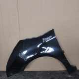 Kotflügel vorne links CITROËN C4 Picasso II 1.6 VTi 120