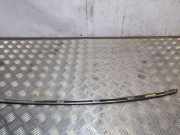 Zierleiste Windschutzscheibe Frontscheibe MERCEDES-BENZ E Cabrio (A207) E 500 (207.473) A2076730783