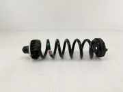 Schraubenfeder hinten links BMW 2 Coupe (G42, G87) 218 i 33506875394