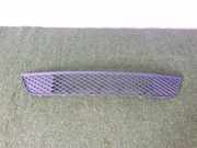 Gitter vorne unten FORD FIESTA V (JH_, JD_) 1.4 TDCi DNW14359 6S61A018A58