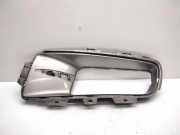 Gitter vorne unten BMW X5 (E70) 3.0 sd 7175485