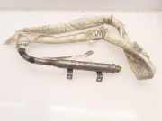Airbag Dach links Nissan Primera Traveller (WP12)