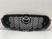 Vorderer oberer Gitter MAZDA CX-30 (DM) SKYACTIV-G M Hybrid DFR5-5711