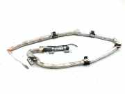 SRS Modul Dach links AUDI Q5 (8R) 2.0 TFSI quattro 8R0860741H