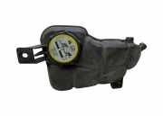 Ausgleichsbehälter FORD S-MAX 2.0 TDCi 3M5H8100AD