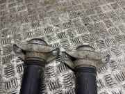 Stoßdämpfer rechts hinten Toyota Prius (W5)