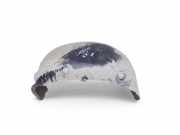 Innenkotflügel hinten links