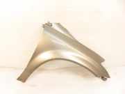 Kotflügel vorne rechts NISSAN MURANO I (Z50) 3.5 4x4