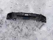 Gitter vorne unten RENAULT CLIO V (B7_) 1.3 TCe 130 (B7MF) 622541469R