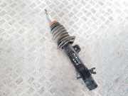 Stoßdämpfer vorne links MINI COUNTRYMAN (R60) Cooper D 31309813653