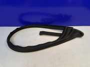 Türgummi links vorne Jaguar F-Type Coupe (QQ6) 4J16156