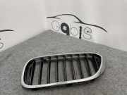 Gitter Grill vorne links BMW 5 Touring (G31) 520 d xDrive 7383519