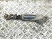 Stoßdämpfer hinten links