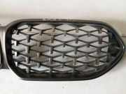 Gitter Grill vorne links BMW 2 Gran Coupe (F44) 228i xDrive 11481910
