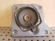 Türlautsprecher vorne links