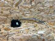 Türfeststeller Jaguar F-Type Coupe (QQ6) EX53404C10AE