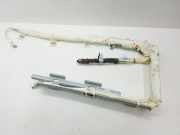 SRS Modul Dach links CITROËN C-CROSSER (EP_) 2.2 HDi 607004100B 6066043