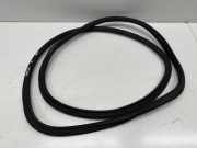 Türgummi links vorne Opel Astra K (B16)