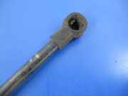 Heckklappendämpfer links Fiat Panda (141)
