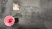 Türverkleidung links hinten Opel Movano Kipper (X70) 7701692581