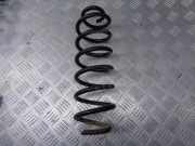 Federblatt links hinten Skoda Roomster (5J)