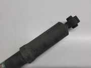 Stoßdämpfer rechts hinten Toyota RAV 4 IV (A4) 4853142460