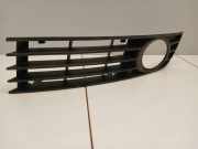 Kühlergrill unten Audi A4 (8E, B7) 8E0807681