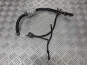 Aktivkohlefilter für Tankentlüftung Nissan Primera (P12)