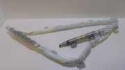 Airbag Dach rechts Lexus RX 4 (L2)
