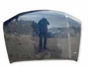 Motorhaube NISSAN NP300 NAVARA (D40) 3.0 dCi 4WD